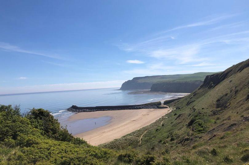 Poets Cottage Skinningrove エクステリア 写真